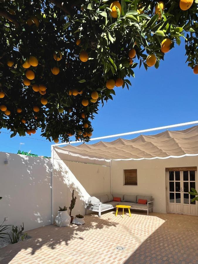 Design & Art, Patio With Orange Tree, Near Seville *